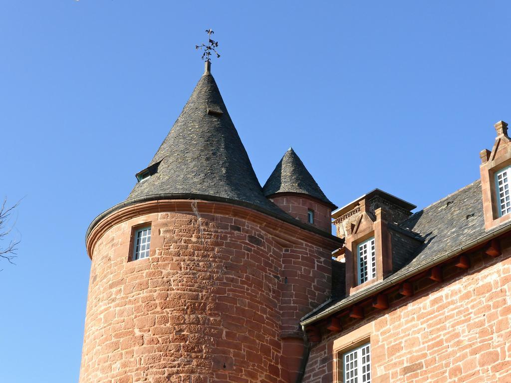 Chateau De Marsac Meyssac エクステリア 写真