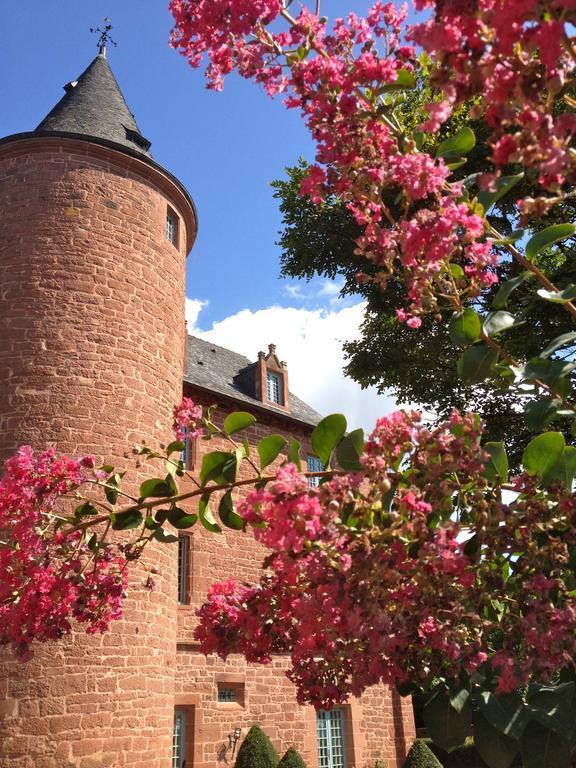 Chateau De Marsac Meyssac エクステリア 写真