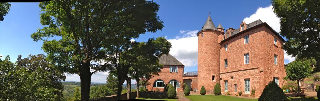 Chateau De Marsac Meyssac エクステリア 写真